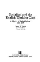 Tapa de Socialism and the English working class