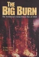 Tapa de The big burn