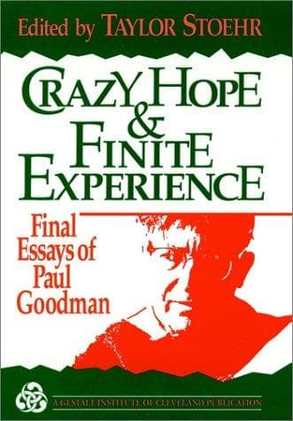 Tapa de Crazy hope and finite experience