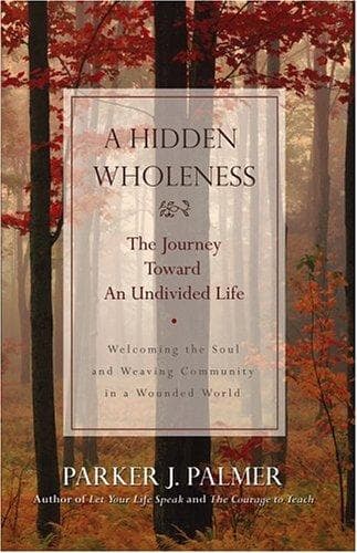 Tapa de A hidden wholeness
