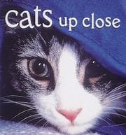 Tapa de Cats up close