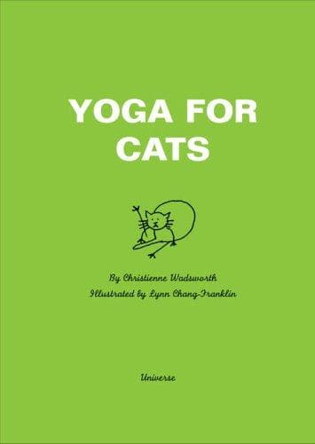 Tapa de Yoga for cats