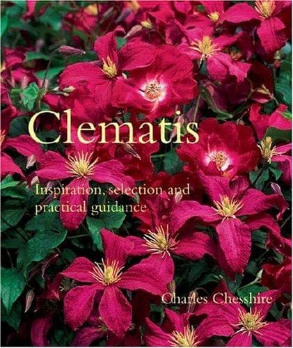 Tapa de Clematis