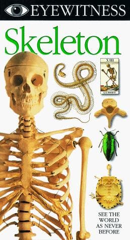 Tapa de Skeleton (Eyewitness Lvg World Video)