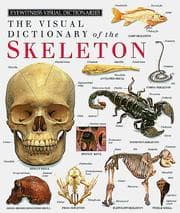 Tapa de Eyewitness Visual Dictionary of the Skeleton