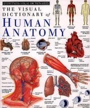 Tapa de The visual dictionary of human anatomy