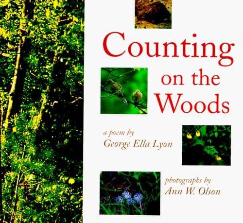 Tapa de Counting on the Woods