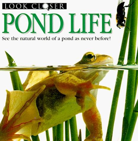 Tapa de Pond Life (Look Closer)