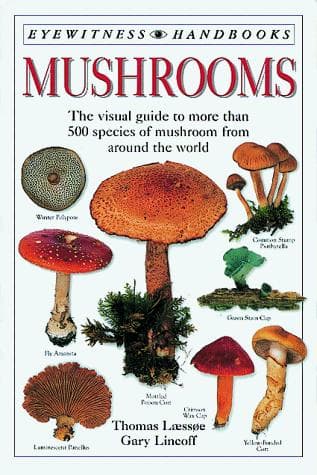 Tapa de Mushrooms