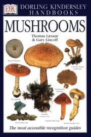 Tapa de Mushrooms
