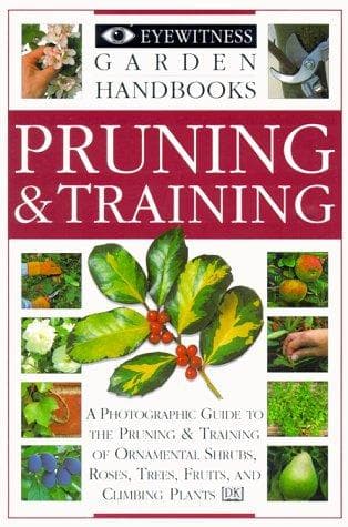 Tapa de Pruning & training