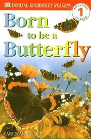 Tapa de Born To Be A Butterfly