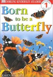 Tapa de Born To Be A Butterfly