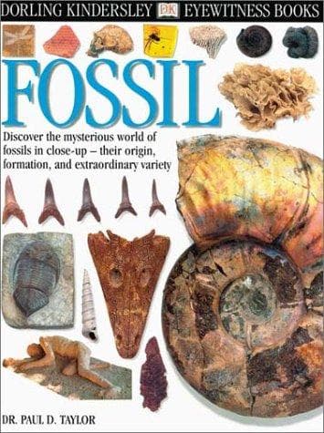 Tapa de Fossil (DK Eyewitness Books)