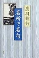 Tapa de Meisho de meiku