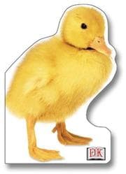 Tapa de Duckling