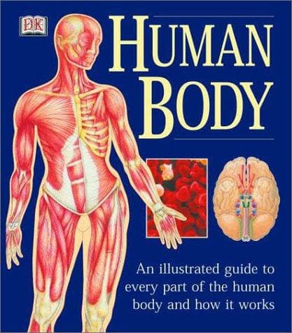 Tapa de Human Body