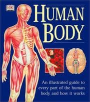 Tapa de Human Body