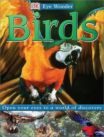 Tapa de Eye Wonder