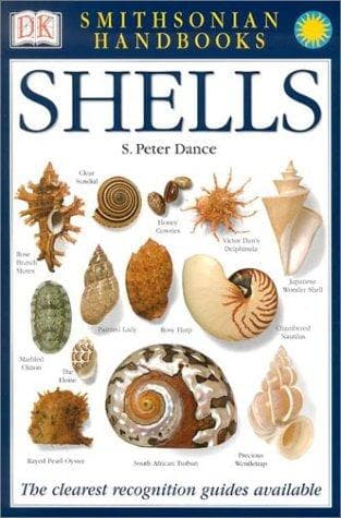Tapa de Shells