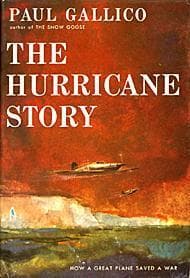 Tapa de The Hurricane story