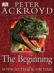 Tapa de The beginning