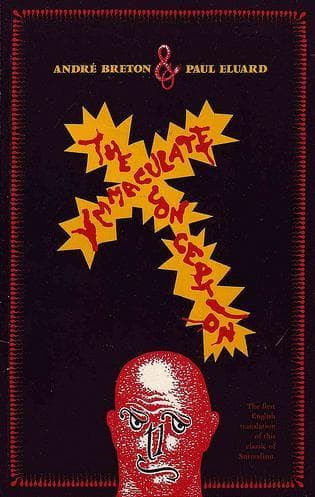Tapa de The immaculate conception