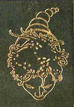Tapa de Slan