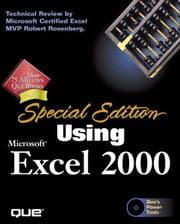 Tapa de Using Microsoft Excel 2000
