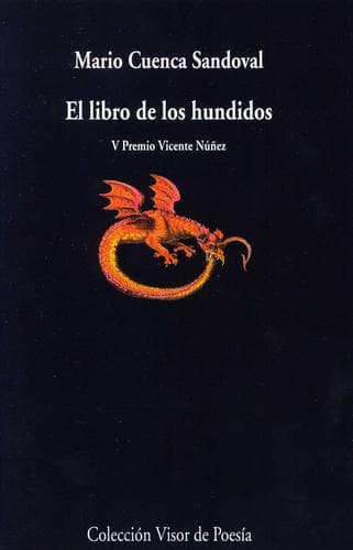 Tapa de El libro de los hundidos