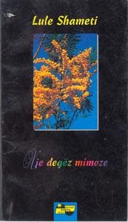 Tapa de Nje degez mimoze