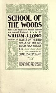 Tapa de School of the woods