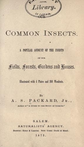 Tapa de Our common insects