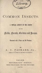 Tapa de Our common insects