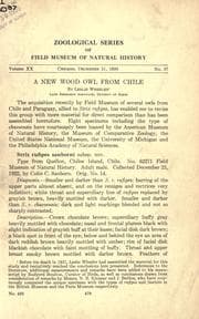 Tapa de A new wood owl from Chile