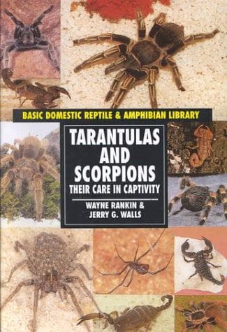 Tapa de Tarantulas and Scorpions