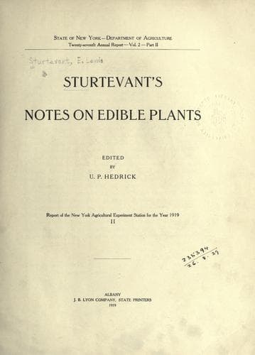 Tapa de Sturtevant's notes on edible plants