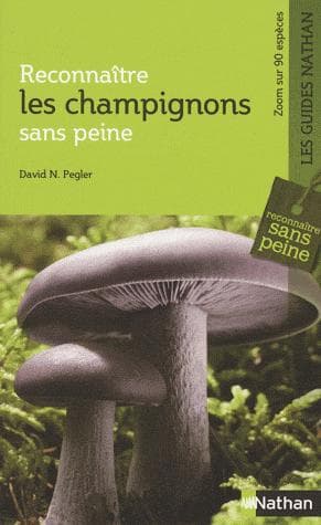 Tapa de Les champignons