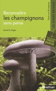 Tapa de Les champignons