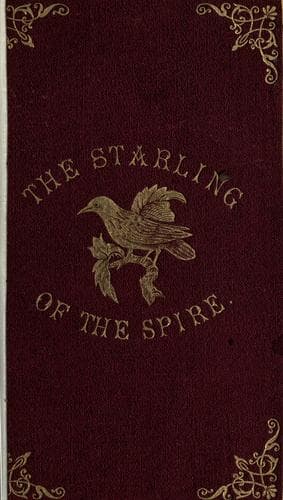 Tapa de The starling of the spire; or, a bird's eye view of the church as it was