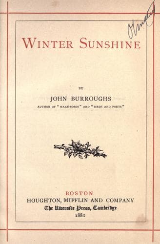 Tapa de Winter sunshine
