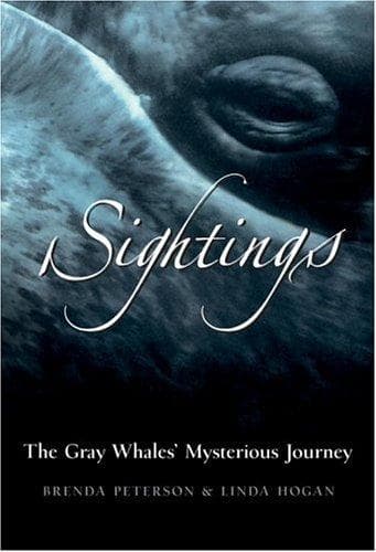 Tapa de Sightings