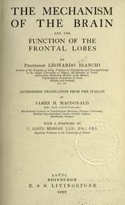 Tapa de The mechanism of the brain