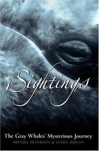 Tapa de Sightings