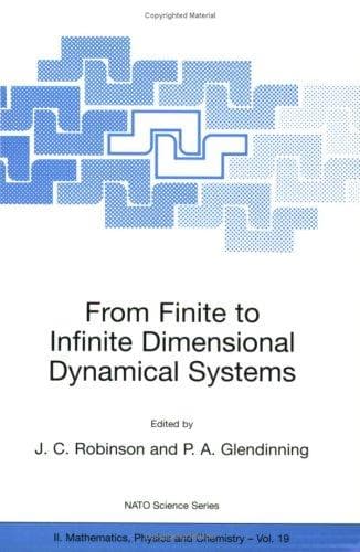 Tapa de From Finite to Infinite Dimensional Dynamical Systems