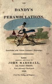 Tapa de The dandy's perambulations