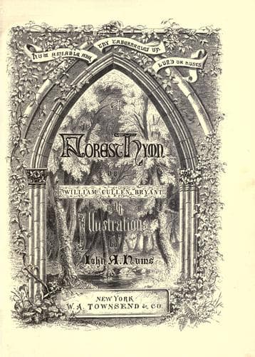 Tapa de A forest hymn