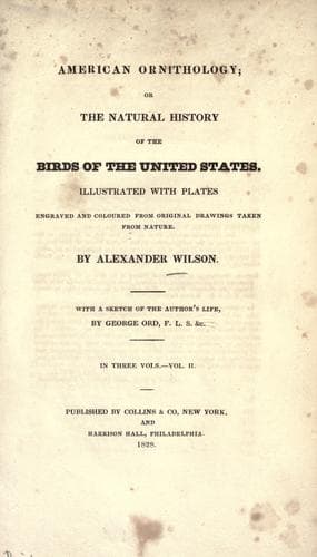Tapa de American ornithology