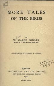 Tapa de More tales of the birds
