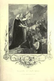 Tapa de The history of Ireland